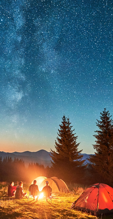 BonnieFall2025Image